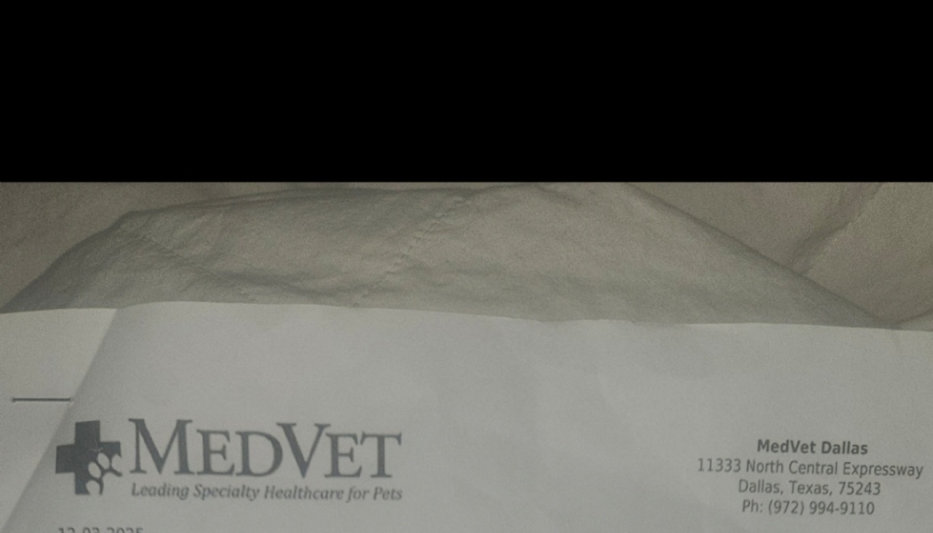 Header of a MedVet Dallas veterinary document showing the clinic logo, slogan, and address.