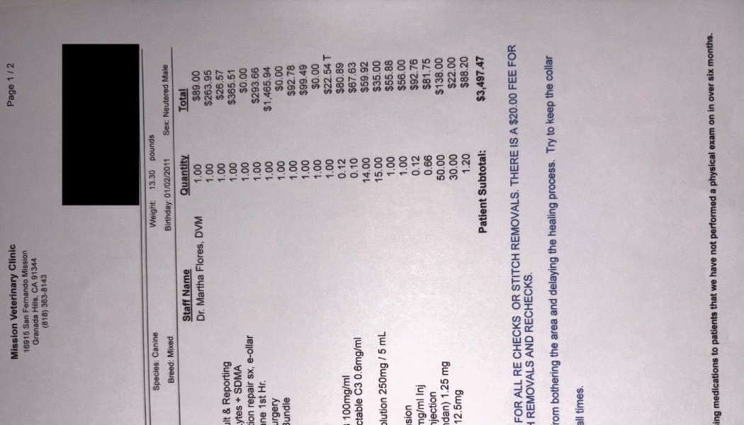 Veterinary bill from Mission Veterinary Clinic for a dog, showing itemized medical costs totaling $3,497.47.