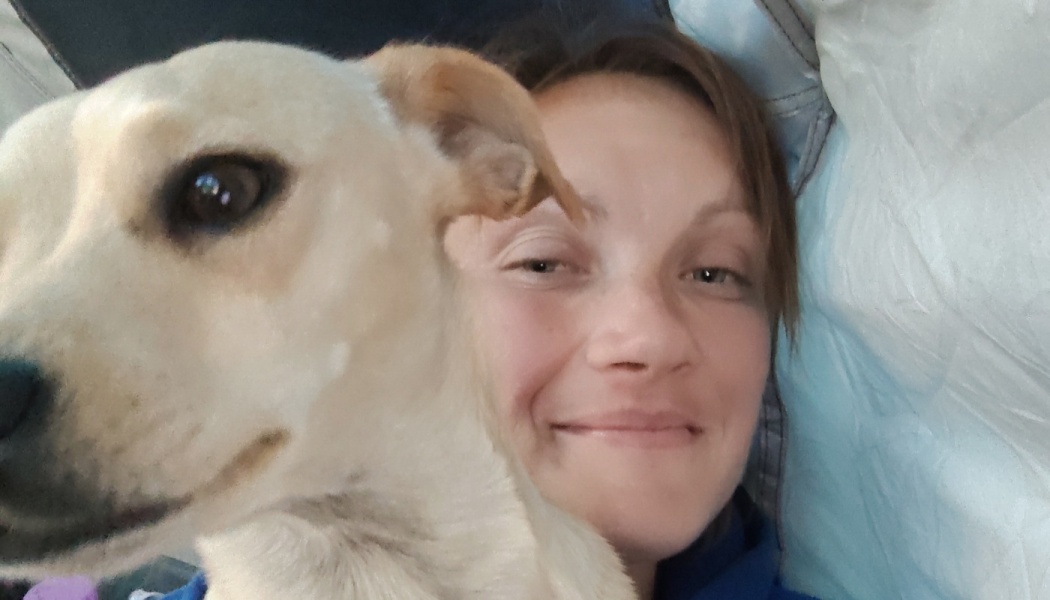 Help Jamie and the dogs