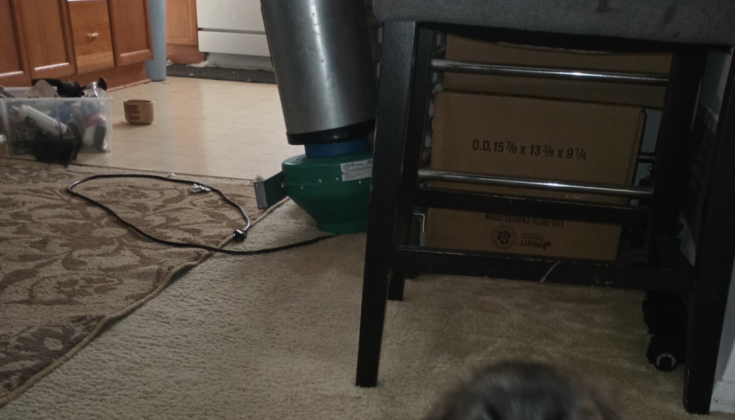 A green inline duct fan connected to a metal carbon filter standing on carpet next to a chair and boxes.