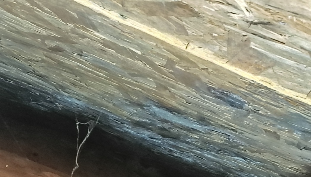 Rough particle board wood beam with a small cobweb hanging underneath.