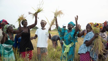 Joyful women farmers celebrating in a field, holding up harvested grain stalks high in the air.