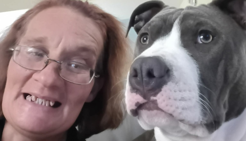 Help get Denali neutered