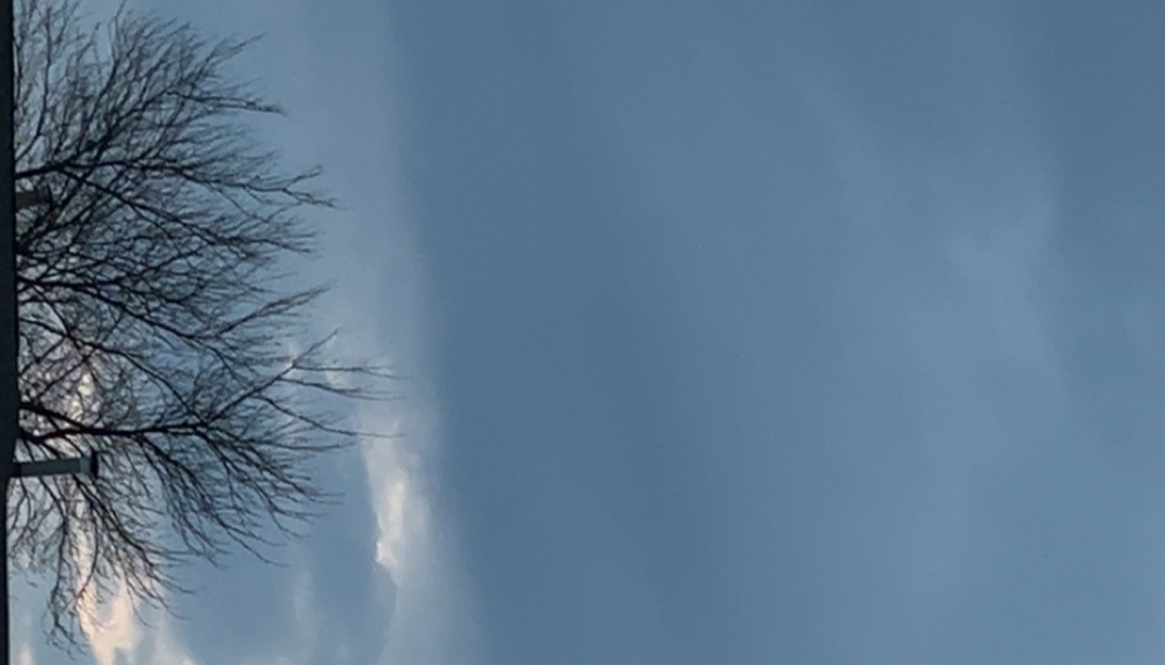 Bare tree branches silhouette against a blue and overcast sky.