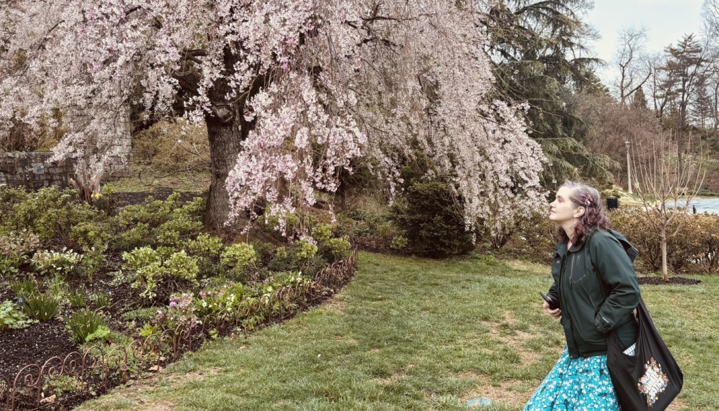A woman looks up admiringly at a large weeping cherry tree filled with pink blossoms in a garden.