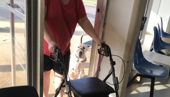 A person in a red shirt uses a rolling walker while a white Labrador service dog sits attentively in a doorway.