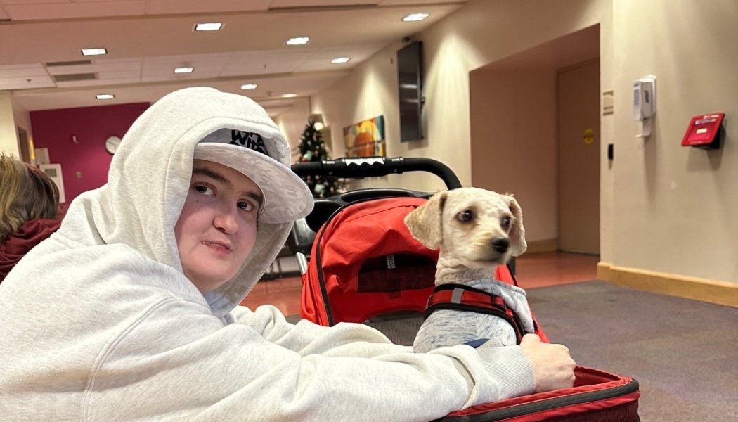 A person in a white hoodie sitting next to a small dog sitting inside a red pet stroller.