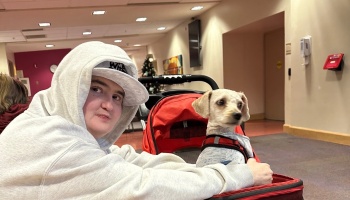 A person in a white hoodie sitting next to a small dog sitting inside a red pet stroller.