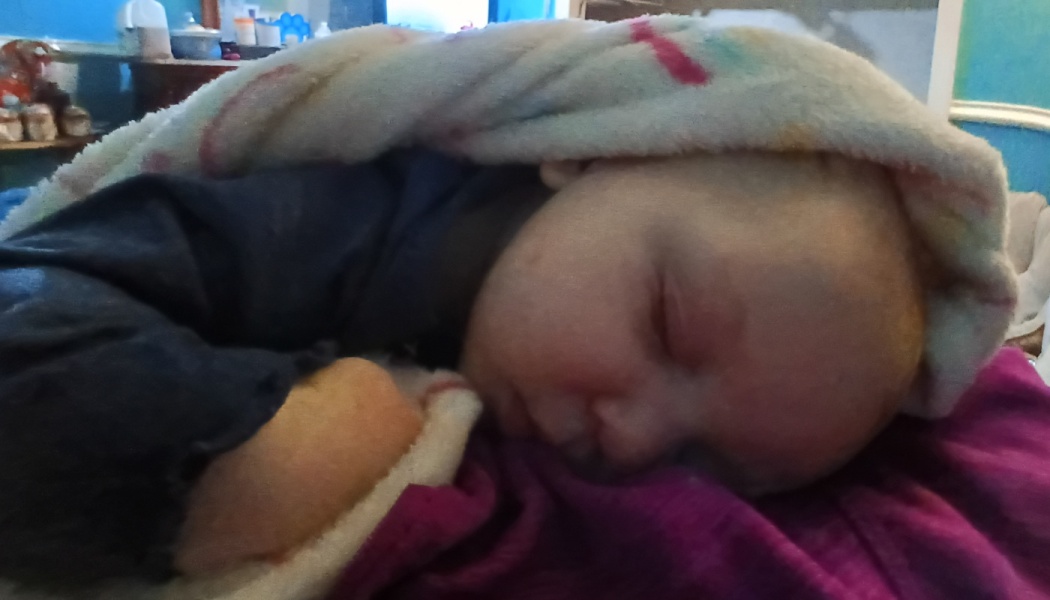 A baby sleeping peacefully tucked under a soft blanket, resting on a purple cushion.