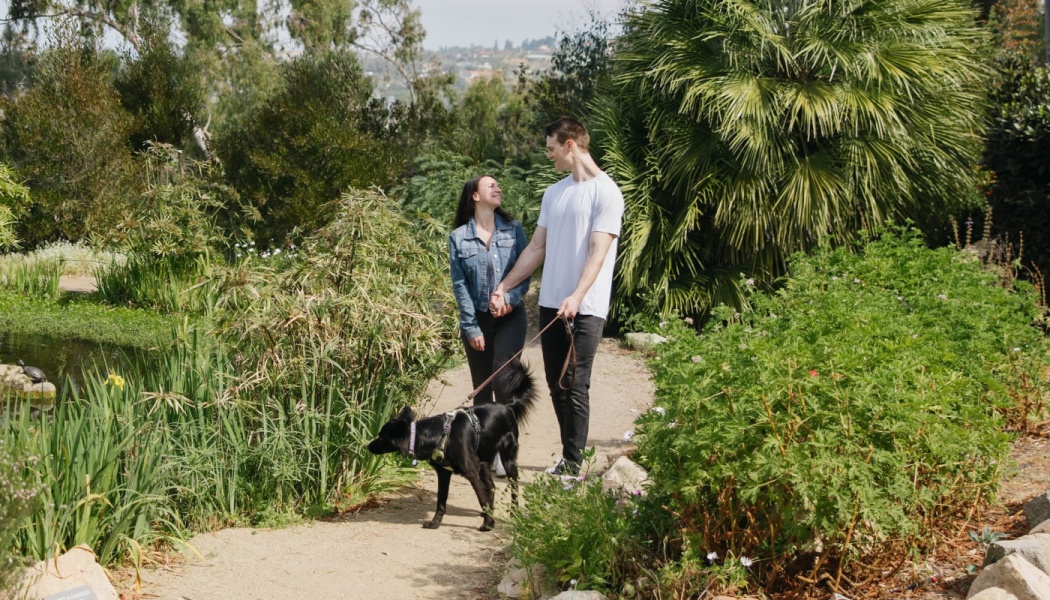 A smiling couple holds hands while walking their black dog along a lush garden path.