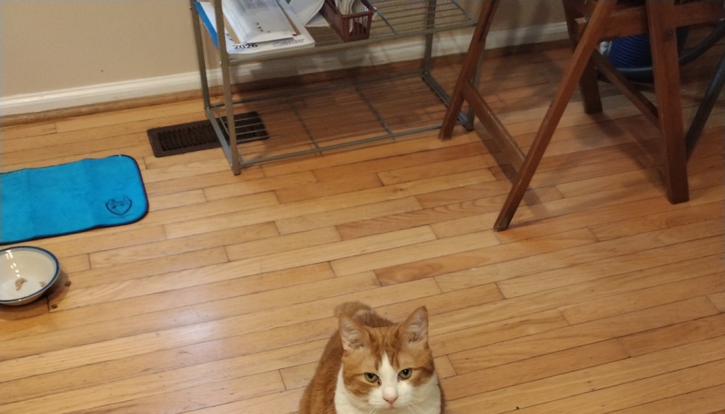 Charlie