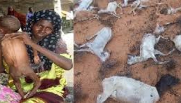A woman holding a severely malnourished child alongside dead livestock on dry, arid ground.