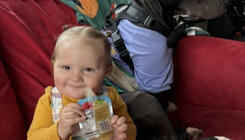 A smiling toddler holding a snack pouch sits on a red couch next to a large dog wearing a purple shirt.