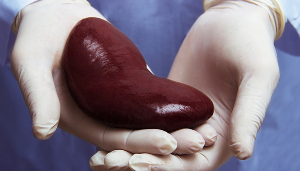 Kidney Transplant