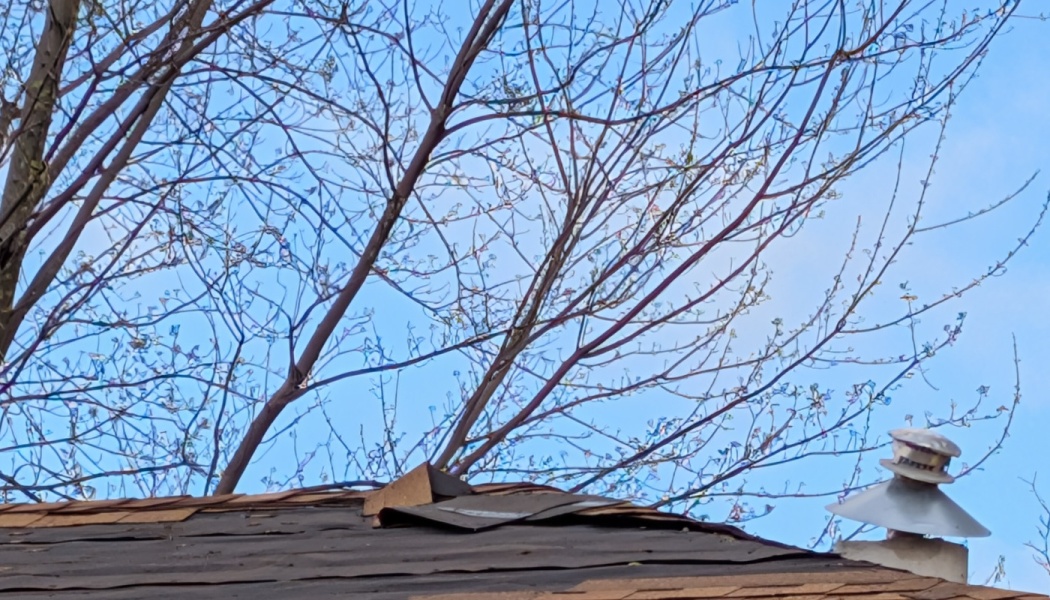 Damaged roof with peeling shingles and a metal vent pipe beneath bare tree branches against a clear blue sky.
