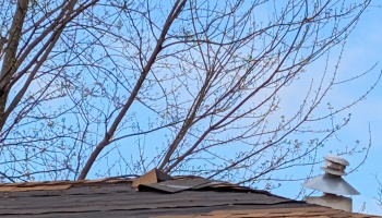 Damaged roof with peeling shingles and a metal vent pipe beneath bare tree branches against a clear blue sky.