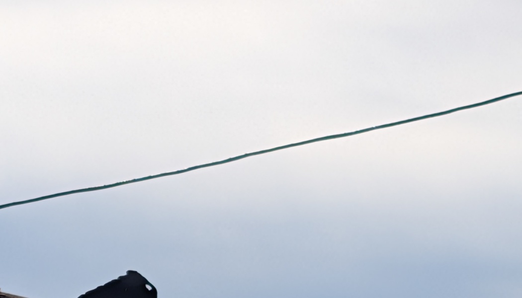 A single wire stretching diagonally across a pale, overcast gray sky.