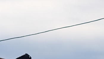 A single wire stretching diagonally across a pale, overcast gray sky.