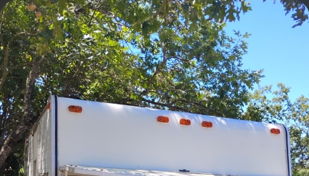 The top of a white RV with orange clearance lights, parked under lush green trees against a clear blue sky.