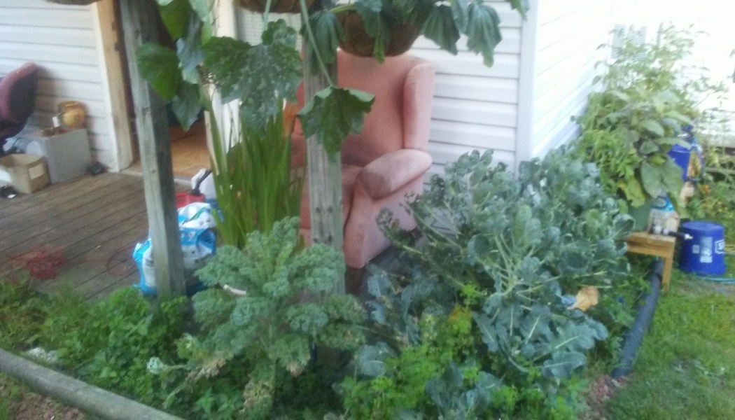 Pink armchair nestled on a wooden porch behind a thriving garden of leafy green vegetables and plants.