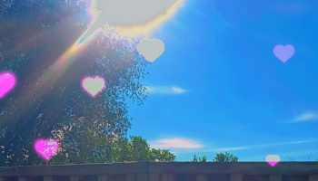 Bright blue sky with sun rays above trees and a fence, overlaid with glowing pink and white heart-shaped bokeh.