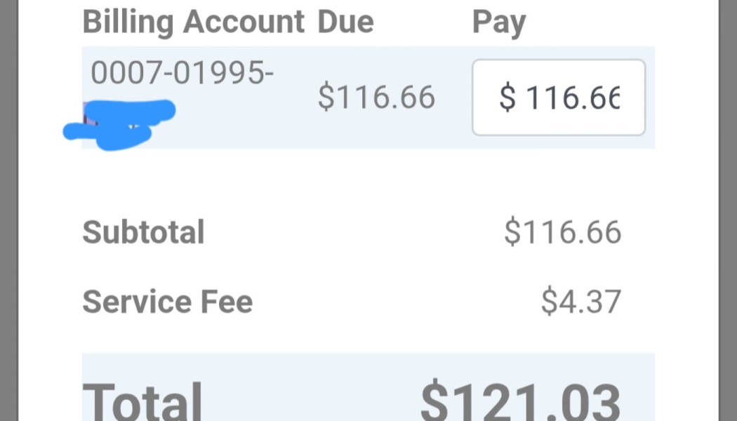 Online bill statement showing a subtotal of $116.66, a $4.37 service fee, and a total of $121.03.