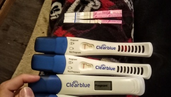 Multiple positive pregnancy tests, including a digital Clearblue test reading Pregnant.