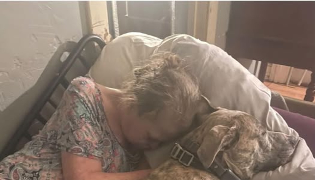 A woman resting in a medical bed, leaning her head affectionately against a large brindle dog.