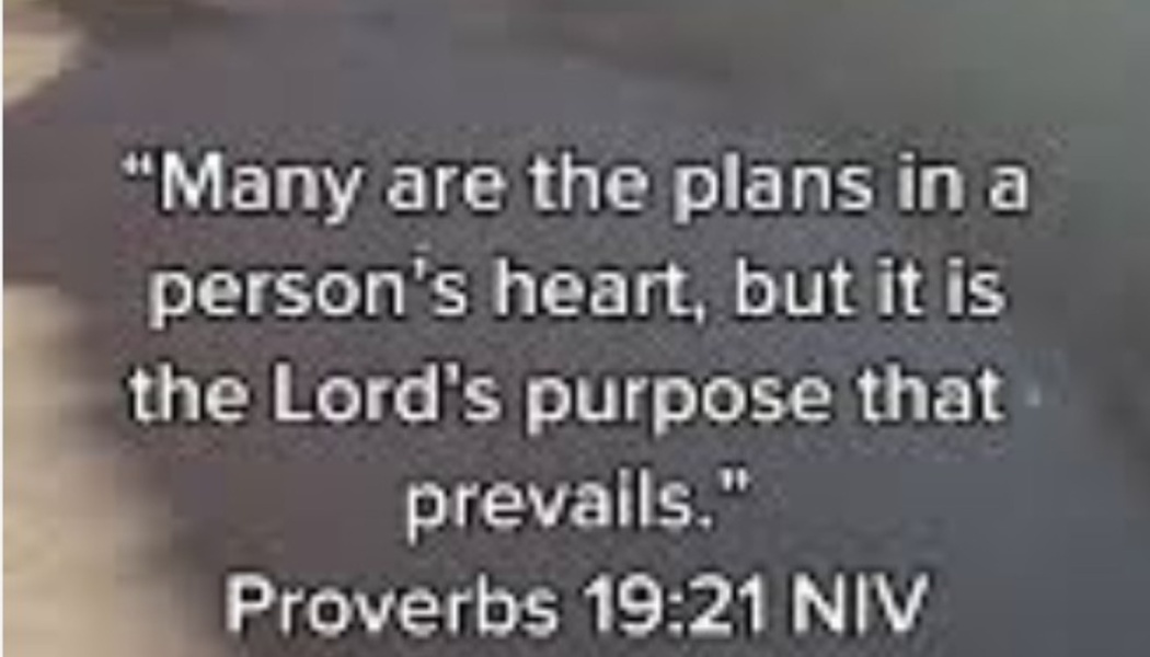 "Many are the plans in a person's heart, but it is the Lord's purpose that prevails." Proverbs 19:21 NIV