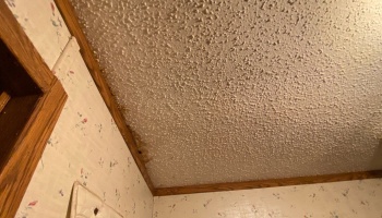 Water-damaged popcorn ceiling with brown stains along the wooden trim above floral wallpaper.