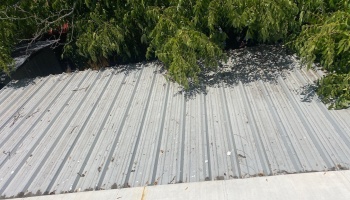 Weathered corrugated metal roof partially shaded by overhanging tree branches.