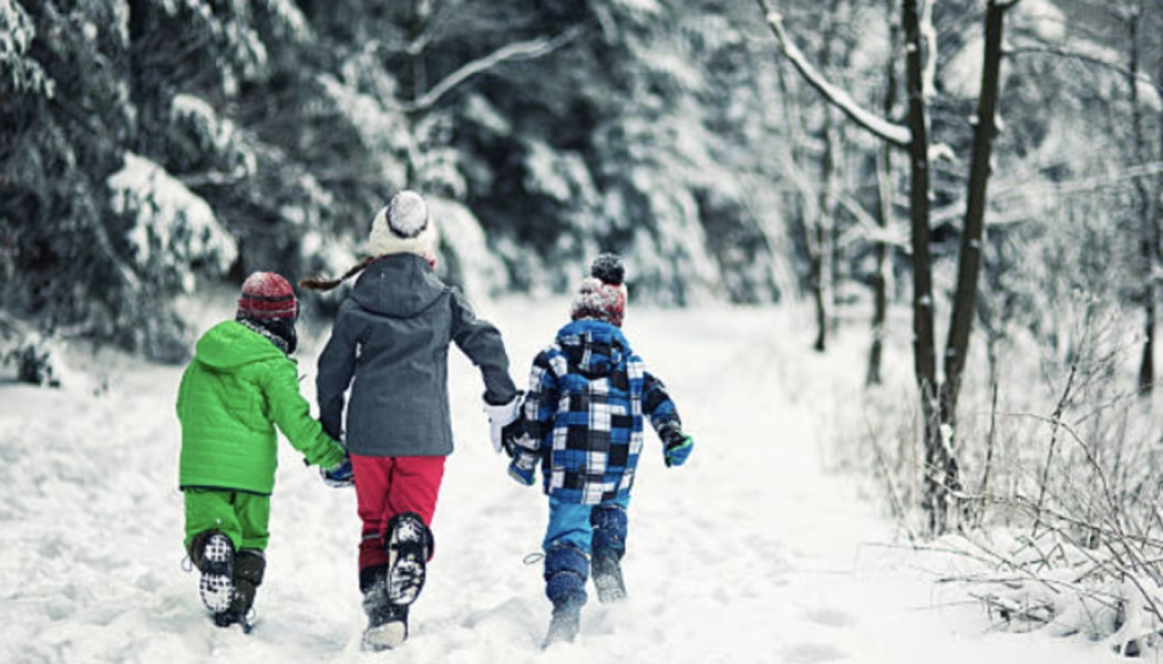Three children in winter gear holding hands and walking away down a snowy forest path.