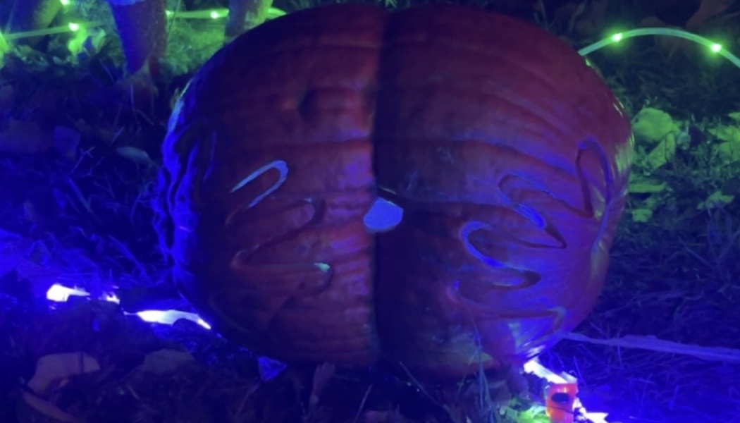 A pumpkin carved to look like a human brain, glowing under blue outdoor lights at night.