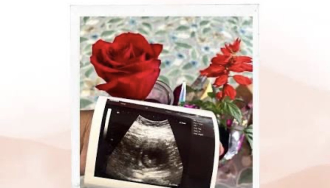 A pregnancy ultrasound scan held in front of a vivid red rose and flowers.
