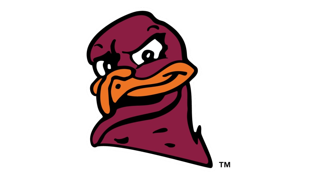 Virginia Tech HokieBird mascot head in maroon and orange with a fierce, determined expression.