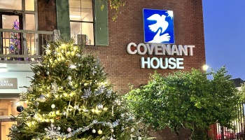 A decorated Christmas tree lit up in front of a brick building with a glowing Covenant House sign.