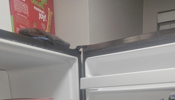 Open refrigerator showing empty door shelves, with a red box of dog treats and oven mitts on top.