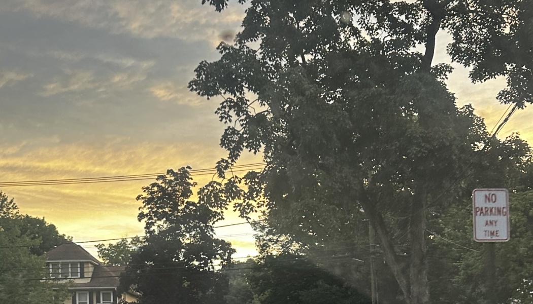 Golden sunset sky glowing behind silhouetted trees, a house, and a No Parking sign in a residential neighborhood.