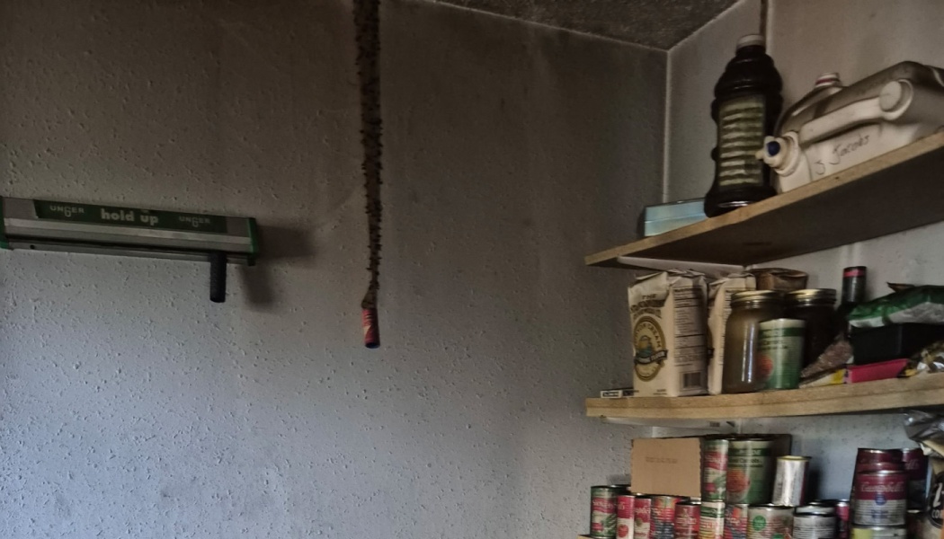 A fly paper strip covered in dead flies hangs from the ceiling beside pantry shelves stocked with canned goods.