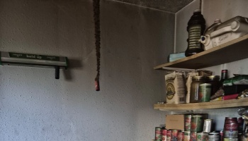 A fly paper strip covered in dead flies hangs from the ceiling beside pantry shelves stocked with canned goods.
