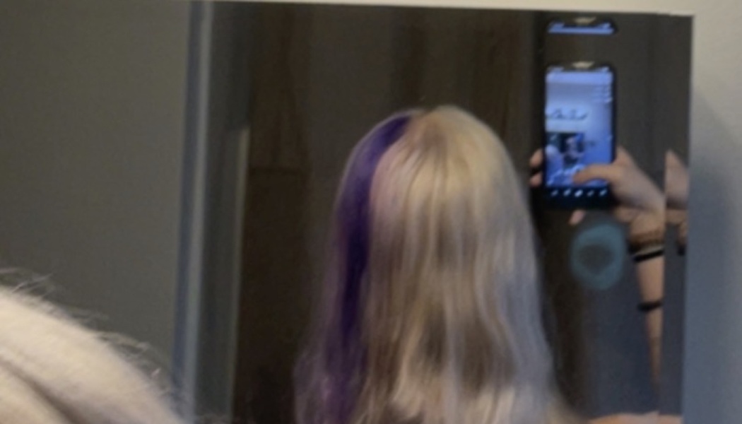 Mirror selfie showing the back of a person's head with split-dyed purple and blonde hair.