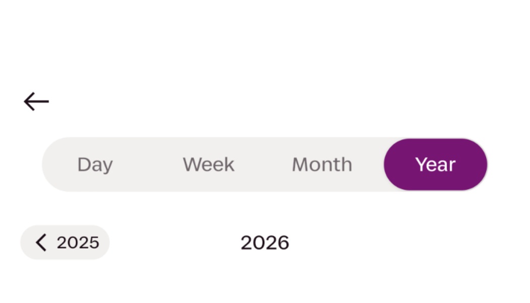 Time filter toggle bar with Year selected, showing navigation options for 2025 and 2026.