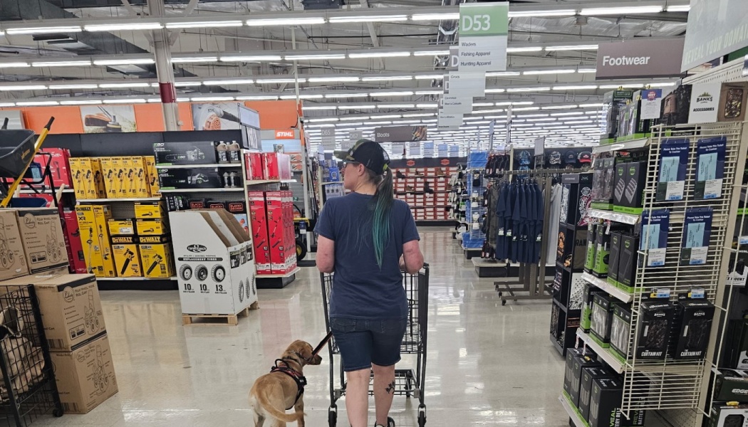 A woman pushes a shopping cart while walking her dog on a leash down a hardware store aisle.