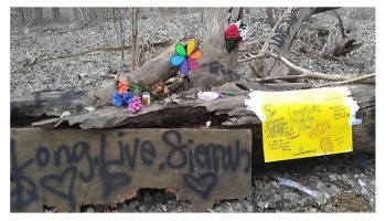 Woodland memorial featuring flowers, a colorful pinwheel, handwritten notes, and a sign reading "Long Live Sierrah."