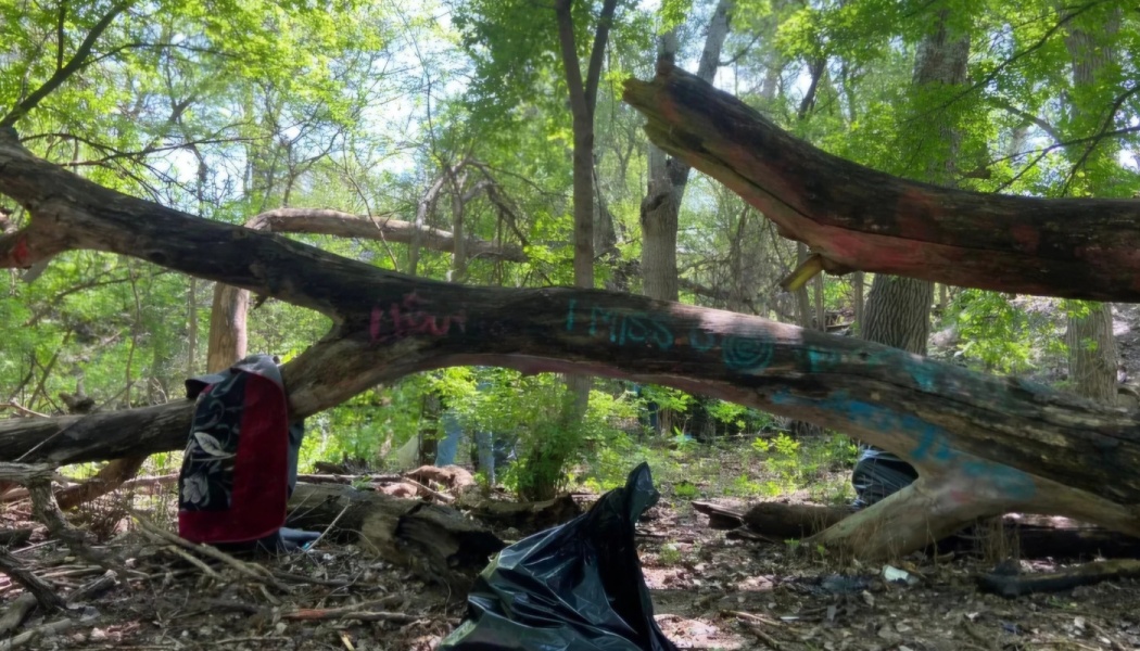 A black trash bag near fallen, graffiti-covered tree trunks and discarded clothing in a forest.