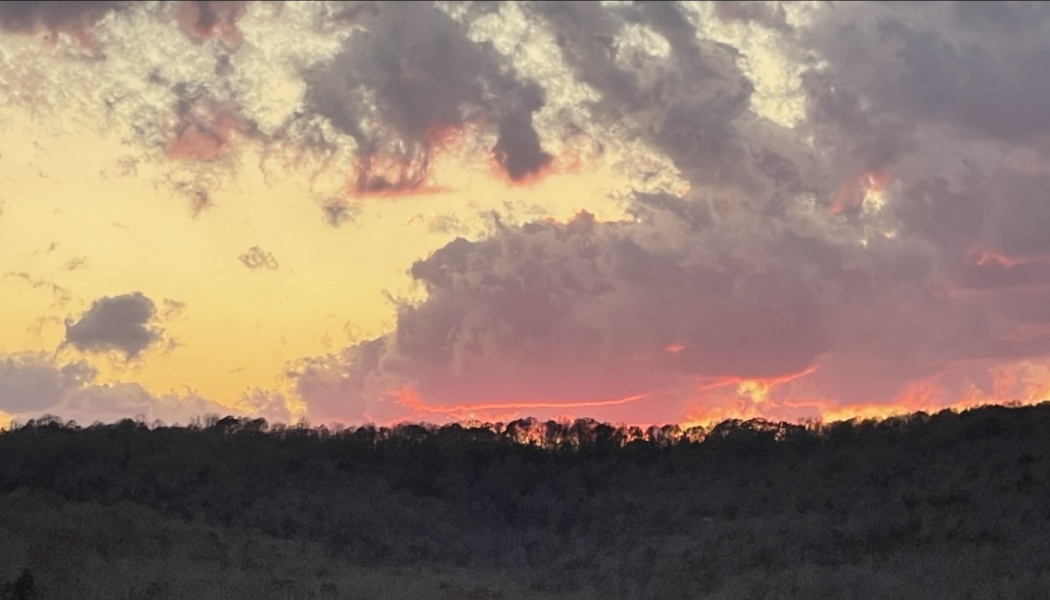 Dramatic sunset sky with fiery pink and yellow clouds over a dark silhouetted treeline.