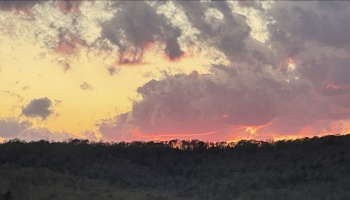 Dramatic sunset sky with fiery pink and yellow clouds over a dark silhouetted treeline.
