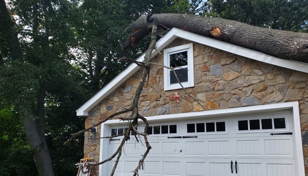 A massive tree trunk fallen onto the roof of a stone-faced garage.