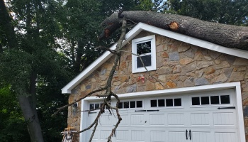 A massive tree trunk fallen onto the roof of a stone-faced garage.