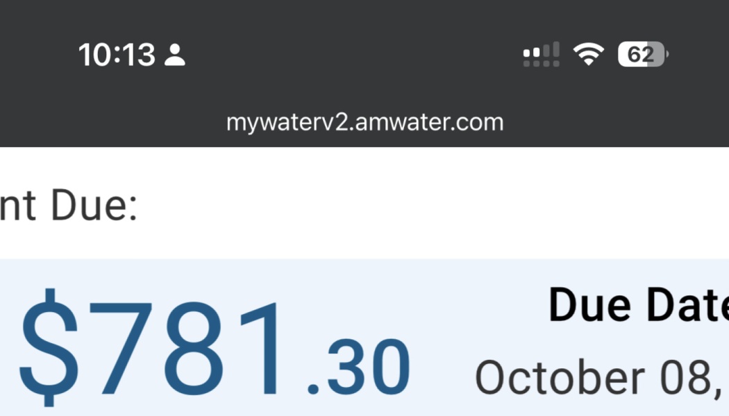 Online water bill screenshot showing an amount due of $781.30 due on October 08.